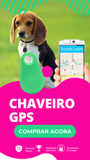 GPS Keychain