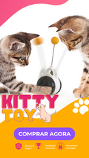 Kitty Toy